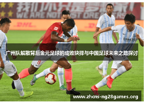 广州队解散背后金元足球的成败抉择与中国足球未来之路探讨