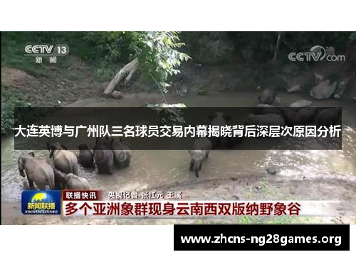 大连英博与广州队三名球员交易内幕揭晓背后深层次原因分析