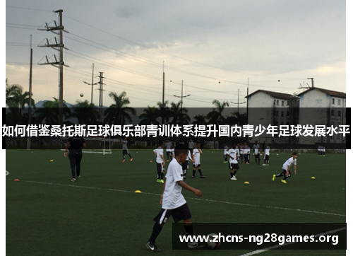 如何借鉴桑托斯足球俱乐部青训体系提升国内青少年足球发展水平
